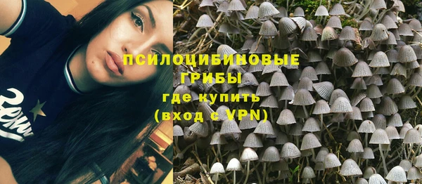 прущие грибы Алексин