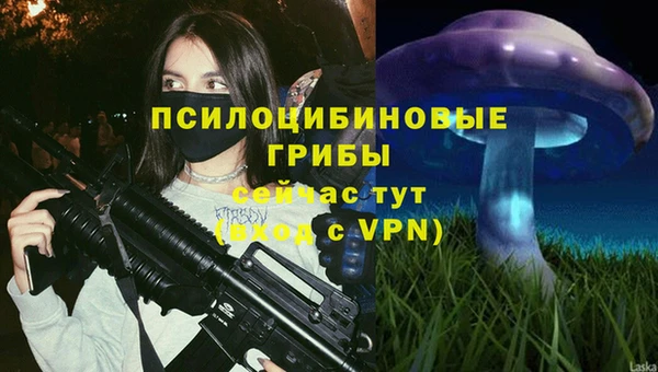 прущие грибы Алексин