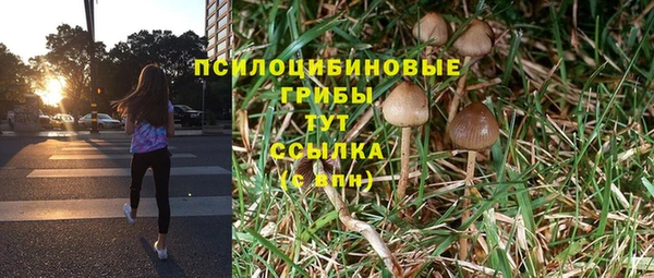 кристаллы Алзамай