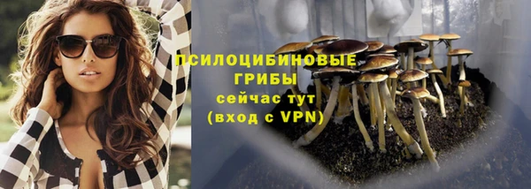 соль курить ск Алексеевка