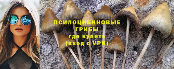 соль курить ск Алексеевка