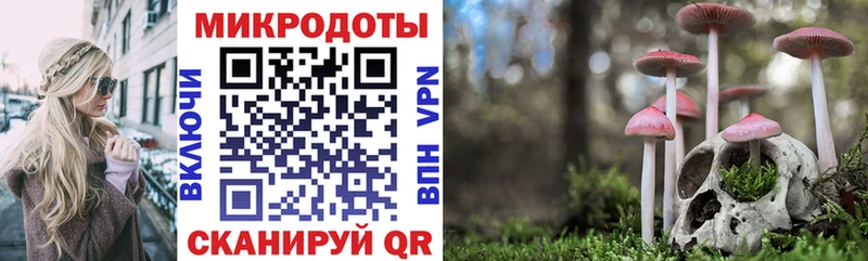 Псилоцибиновые грибы Cubensis  наркота  Лениногорск 