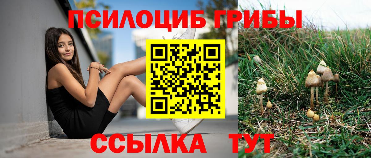 Галлюциногенные грибы Magic Shrooms  Вход с VPN  Лениногорск  Галлюциногенные грибы ЛСД 