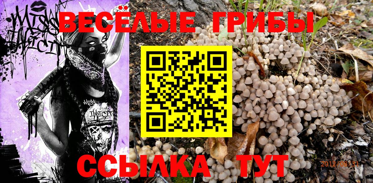 Псилоцибиновые грибы прущие грибы Лениногорск