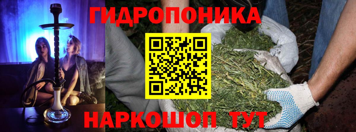 Бошки Шишки сатива  Шишки марихуана THC 21%  Лениногорск  Вход с VPN 
